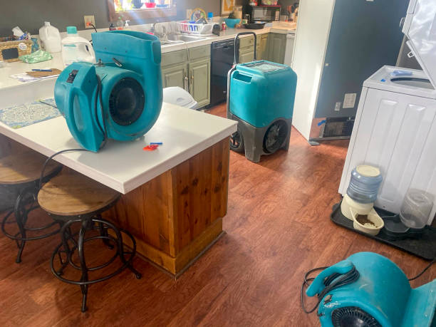 Best Water damage restoration near me  in Algonquin, IL