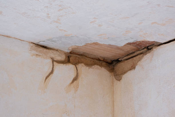 Best Water damage restoration experts  in Algonquin, IL