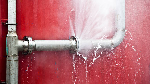 Best Sewage cleanup and water damage restoration  in Algonquin, IL
