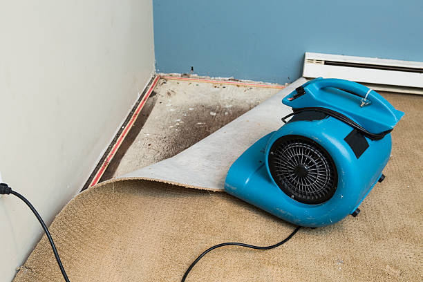 Best Carpet water damage restoration  in Algonquin, IL