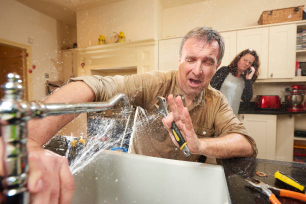 Best Water damage contractors near me  in Algonquin, IL